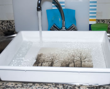 platinum-palladium printing-wet workspace